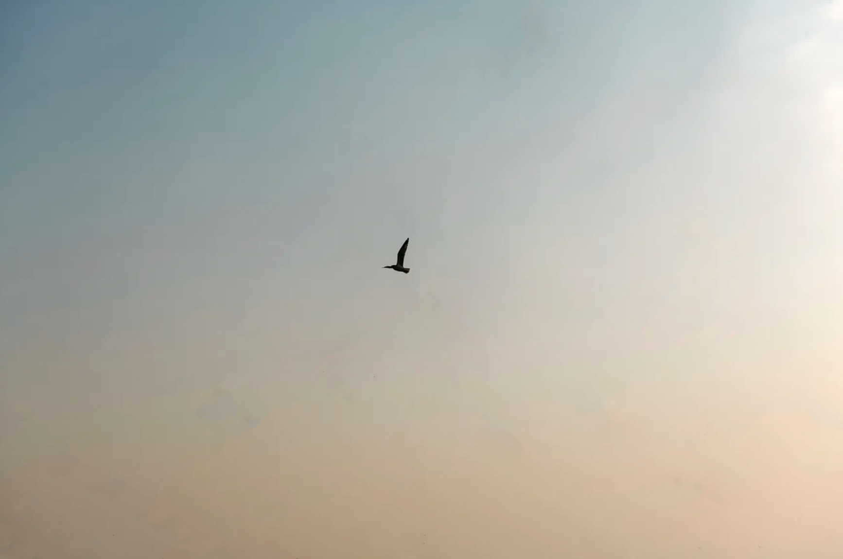 Image for the story Our Sobering Reality: The Heat of Hunting Season