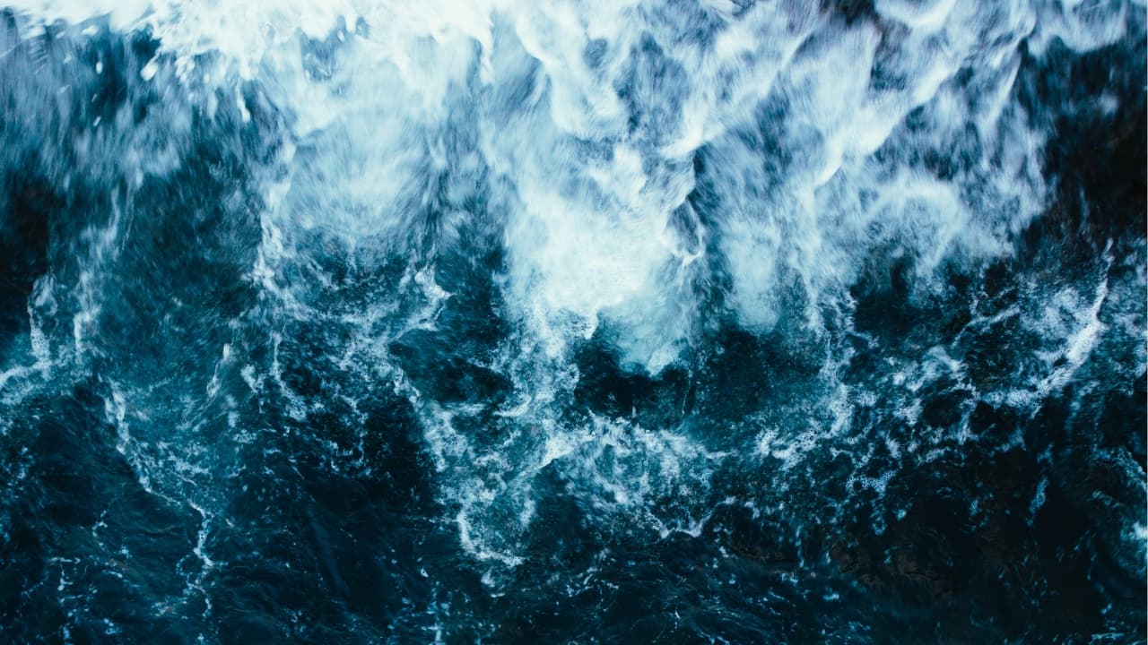 Image for the story Water Collection