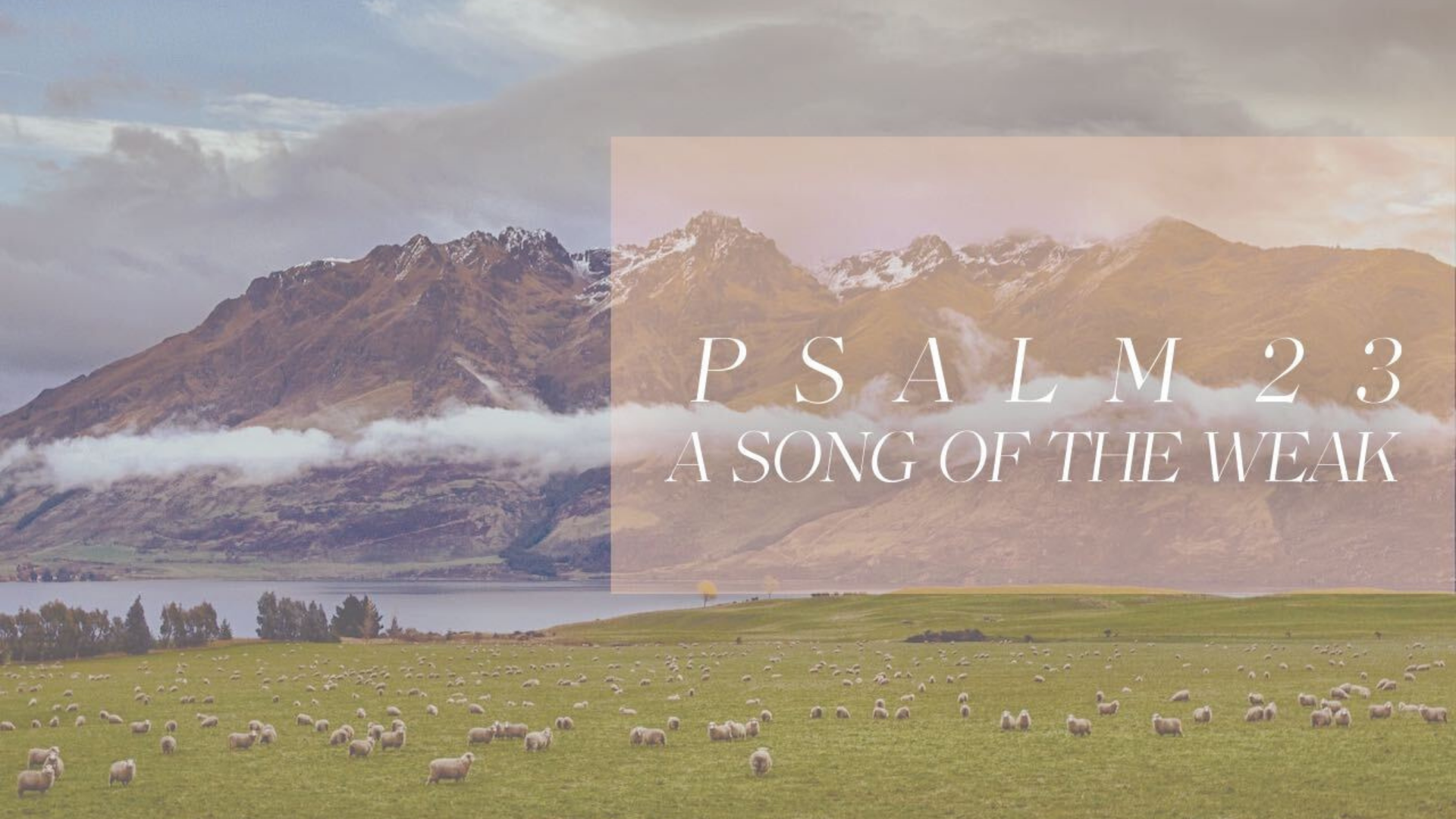 Psalm 23: A Song of the Weak