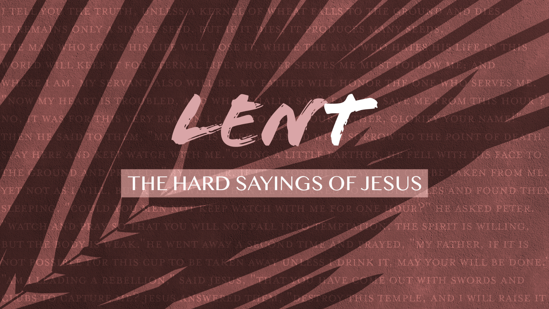 Lent: The "Hard" Sayings of Jesus