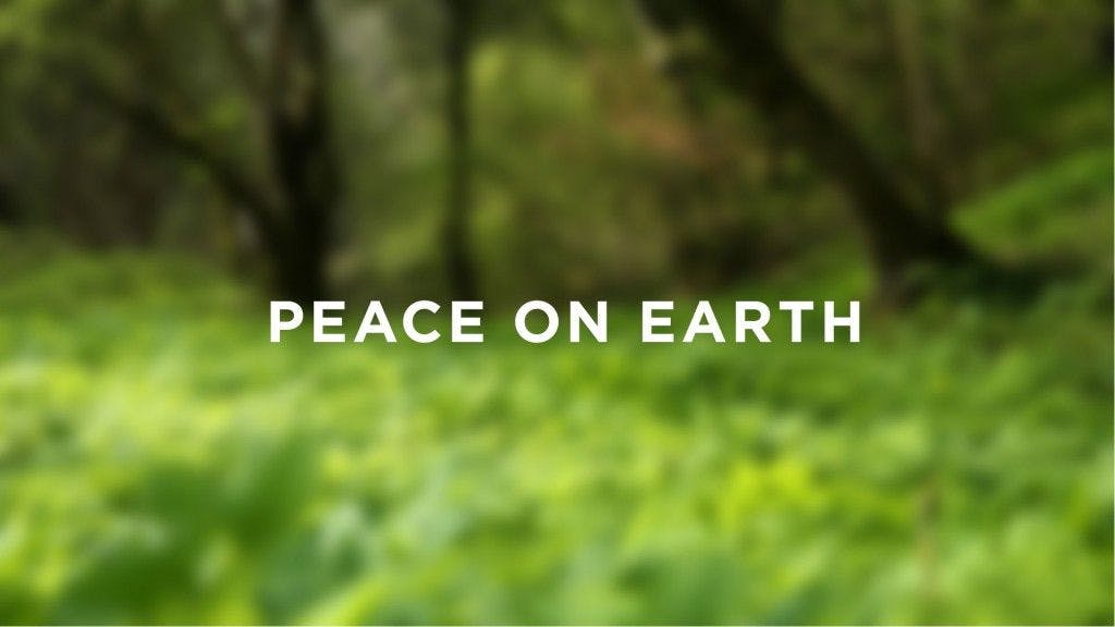 Banner image for Peace on Earth
